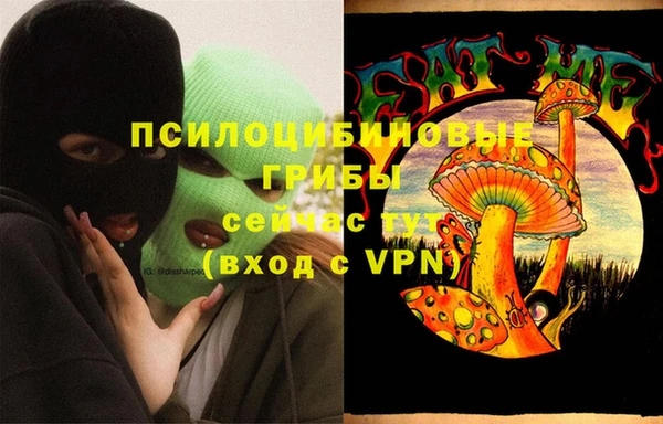 эйфоретик Арсеньев