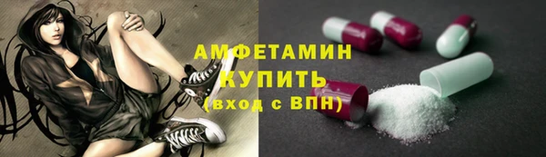 стаф Новодвинск