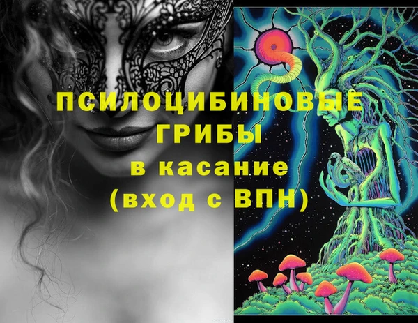 бошки Армянск