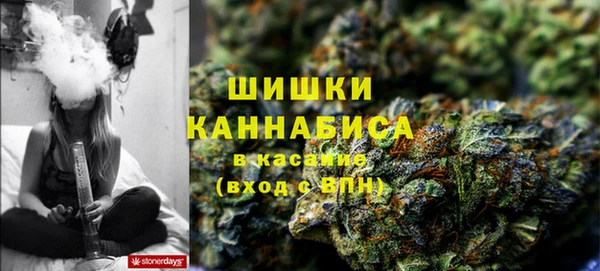 эйфоретик Арсеньев