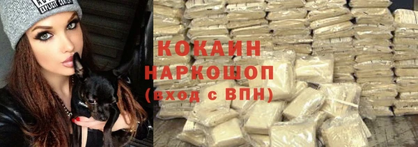 эйфоретик Арсеньев